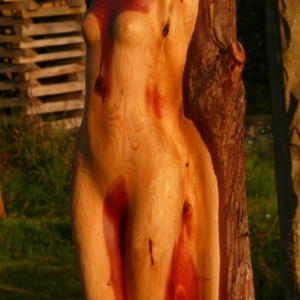 Akt Wacholderholz torso wacholder holz