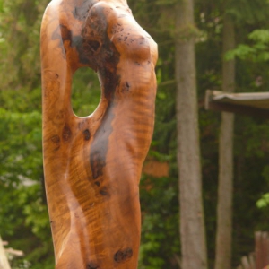 Chilenischer Lorbeer Maserholz Laurel akt torso skulptur