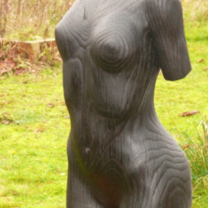 Torso - Roteiche, im Feuer geschwärzt - 60 cm - 2008